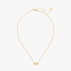 Alpha Delta Pi Collection